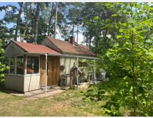 Kleines einstöckiges Haus mit rotem Ziegeldach und verglastem Anbau, umgeben von hohen Kiefern und dichtem Grün. Vor dem Eingang liegen eine gepflasterte Terrasse sowie Gartenutensilien wie Schlauchrollen und eine Leiter.