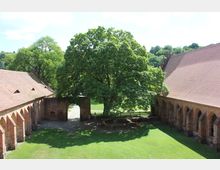Innenhof einer historischen Backsteinanlage mit gotischen Spitzbogenfenstern, einem großen Baum in der Mitte und Resten einer Backsteinruine. Im Hintergrund ist eine grüne Wiese und dichter Wald zu sehen.