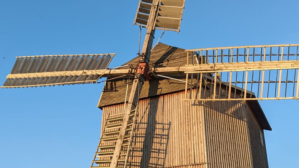 Holz-Windmühle mit hohem, vertikal verschaltem Turm und vier großen Flügeln, vor blauem Himmel. Im Vordergrund sind ein Grasstück und am Rand Bäume sowie Abspannseile und ein Pfosten zu sehen.