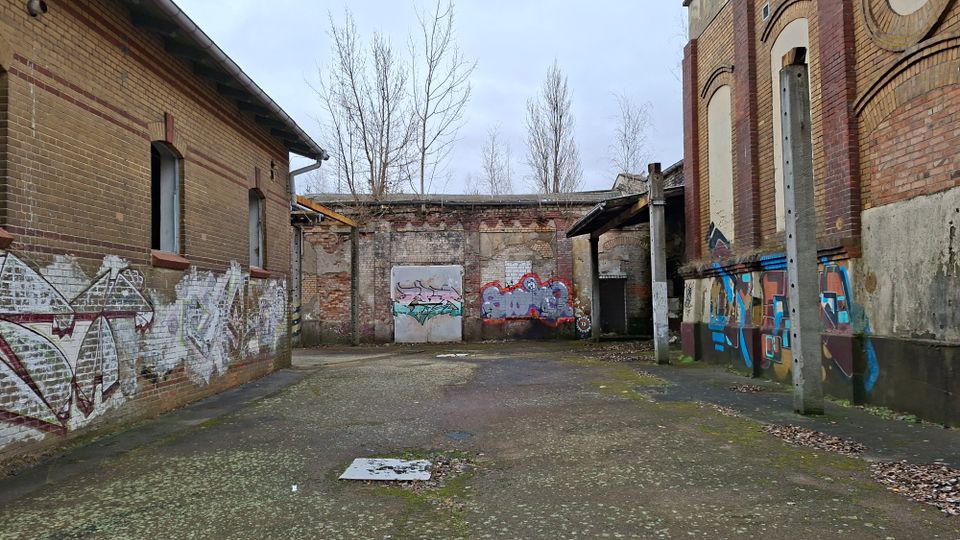 Verlassener Industriehof zwischen Backsteingebäuden mit zugemauerten Fenstern und hohen Mauern, die mit Graffiti bedeckt sind. Der Betonboden zeigt Moos und Laub, im Hintergrund stehen kahle Bäume vor einem grauen Himmel.