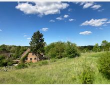 Wiese mit vereinzelten Bäumen und Sträuchern, im Hintergrund ein Backsteinhaus mit Schrägdach sowie dichter Bewuchs; darüber ein klarer Himmel mit wenigen weißen Wolken.