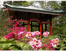 Pavillon in traditionellem asiatischen Stil mit geschwungenem grünen Dach und roten Holzsäulen, umgeben von üppiger Vegetation, darunter rosa Blüten und grüne Blätter, in einer Waldlandschaft.