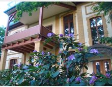 Alt-Text: Eine historische Villa mit hellgelben Klinkerfassaden, großen Holzfenstern und einem überdachten Balkon mit Holzgeländer. Im Vordergrund blühende Rhododendronsträucher mit violetten Blüten.