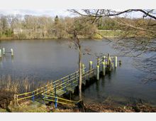 Ein kleiner Steg mit blauen und gelben Geländern ragt in einen ruhigen Fluss, umgeben von kahlen Bäumen und Schilf am Ufer. Im Hintergrund befinden sich eine Baumreihe und vereinzelte Gebäude.