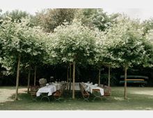 Überdachter Sitzbereich im Garten unter einem dichten Blätterdach aus kleinen Bäumen, mit langen Tischen und Holzbänken auf Rasen. Die Tische sind mit weißen Tischdecken gedeckt, zwischen den Ästen hängen kleine Lichterketten; im Hintergrund stehen weitere Bäume und gestapelte Boote.