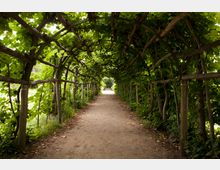 Ein schattiger Spazierweg unter einer mit dichtem Laub und Weinreben bewachsenen Pergola aus Holz- und Metallstrukturen. Links und rechts säumen Büsche und Pflanzen den Weg.
