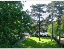 Ein grüner Park mit gepflegtem Rasen, umgeben von hohen Bäumen und dichter Vegetation. Im Hintergrund ist eine Straße mit einem Zaun und Gebäuden zu erkennen.