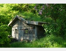 Holzhütte mit begrüntem Dach, umgeben von dichtem Grün und blühendem Flieder in einer natürlichen Umgebung. Die Hütte hat kleine Fenster und eine alte Holztür, daneben befinden sich rustikale Dekorationen wie Seile und Laternen.