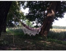 Eine Hängematte aus Stoff und Spitzenmaterial ist zwischen zwei großen Bäumen in einem schattigen, grasbewachsenen Bereich aufgehängt. Im Hintergrund sind Schilfrohr und eine bewaldete Landschaft sichtbar.