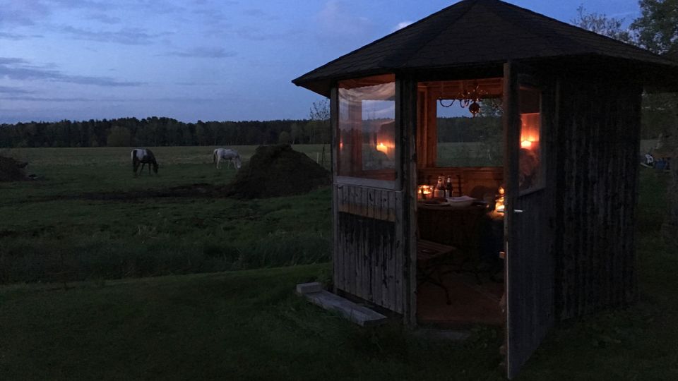 Kleiner hölzerner Pavillon mit geöffnetem Eingang und Fensterfolien, innen warm beleuchtet, auf einer Wiese am Rand eines weiten Feldes. Im Hintergrund stehen Bäume am Horizont und mehrere Pferde weiden auf der Koppel bei Abenddämmerung.