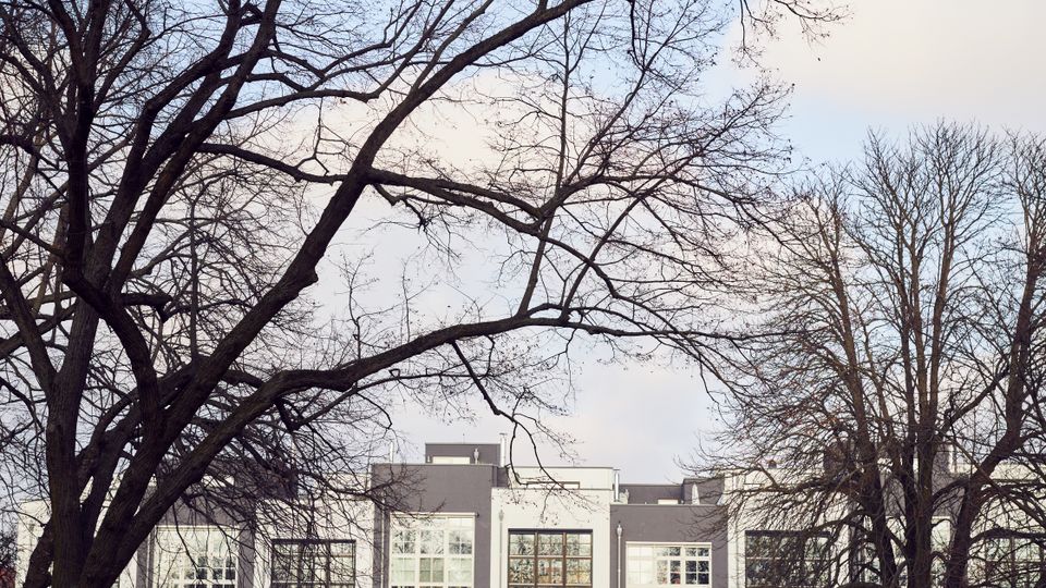 A row of modern white and gray apartment buildings with large windows, viewed from across a park with bare trees and a grassy area in the foreground. Parked cars line the street in front of the buildings, and the sky above is partly cloudy.
