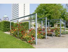 Grünanlage mit gepflegtem Rasen, Rosenbeeten in Rot und Gelb sowie Metallpergolen, unter denen Holzsitzbänke stehen; im Hintergrund ein hoher, weißer Gebäudeturm und eine grüne Kuppel.