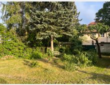 Garten mit Rasenfläche, dichtem Grün, Bäumen und Sträuchern. Im Hintergrund sind ein Wohnhaus mit roten Ziegeldach und eine Mauer mit Tor zu sehen, daneben eine kleine Holzbank unter einem Baum.