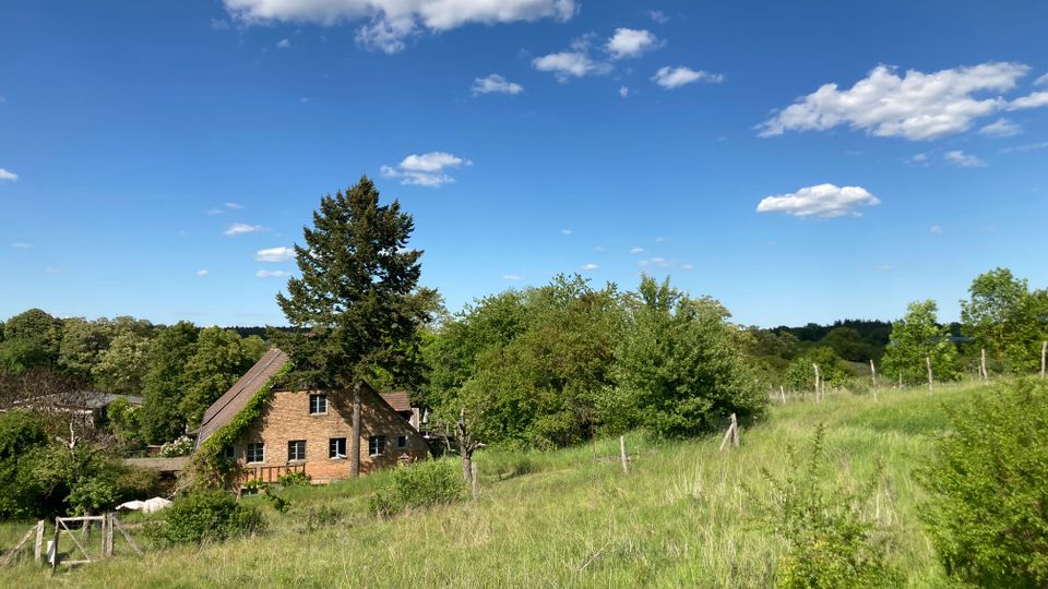 Wiese mit vereinzelten Bäumen und Sträuchern, im Hintergrund ein Backsteinhaus mit Schrägdach sowie dichter Bewuchs; darüber ein klarer Himmel mit wenigen weißen Wolken.