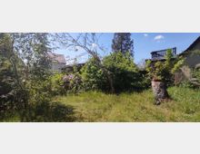 Ein überwucherter Garten mit Gras, Bäumen und Sträuchern, im Hintergrund ein Haus mit rotem Ziegeldach und ein weiteres Gebäude mit hellem Putz. Im Vordergrund steht ein Baumstumpf mit einem Blumentopf darauf.