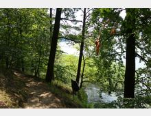 Ein schmaler, von Bäumen gesäumter Waldpfad führt leicht abschüssig entlang eines Gewässers, das durch das dichte Blattwerk teilweise sichtbar ist. Im Vordergrund steht ein kleines Schild zwischen den Bäumen.