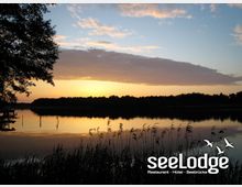 Seeufer bei Sonnenuntergang mit ruhigem Wasser, das die Bäume und den Himmel spiegelt; im Vordergrund ragen Schilfhalme empor, und am Horizont ist eine Baumreihe sichtbar. Text "SeeLodge – Restaurant, Hotel, Seebrücke" in der rechten unteren Ecke.
