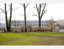 Eine moderne, mehrstöckige Schulgebäude-Fassade mit großen Fenstern, dahinter kahle Bäume und Sträucher. Im Vordergrund eine offene Rasenfläche mit einzelnen kargen Stellen.