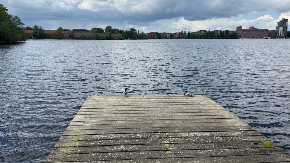 Holzsteg am Ufer eines großen Sees, der in das Wasser hinausragt. Am gegenüberliegenden Ufer sind Bäume und eine städtische Bebauung mit mehrstöckigen Gebäuden unter einem wolkigen Himmel zu sehen.