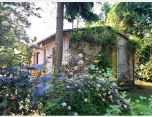 Holzhaus mit hellem Anstrich, umgeben von dichter Vegetation mit blühenden Sträuchern und Kletterpflanzen, in einem bewaldeten Gartenbereich.