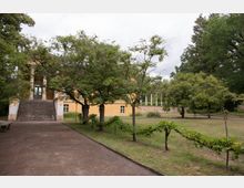 Historisches Gebäude mit gelber Fassade, breiter Steintreppe und Säuleneingang, umgeben von einer Parkanlage mit Rasen, Bäumen und einem Weg im Vordergrund. Links ist eine Sitzbank zu sehen, und rechts verlaufen niedrig gespannte Weinranken.