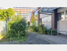 Ein schmaler gepflasterter Weg zwischen Gebäuden, überwuchert von dichtem Grün und Sträuchern. Das linke Gebäude ist mit Efeu bedeckt, während das rechte moderne Fenster und eine Überdachung aus Metall hat; im Hintergrund ist ein Bürogebäude sichtbar.