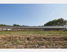 Großer verlassener Gewächshauskomplex mit teilweise verrosteter Metallstruktur und gläsernem Dach, umgeben von unbewachsener Wiese und Bäumen im Hintergrund unter klarem Himmel.