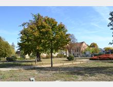 Offene Parklandschaft mit Grünflächen, Bäumen und einem geschwungenen Kiesweg. Im Hintergrund steht ein altes, teilweise renoviertes Gebäude mit Ziegeldach, umgeben von weiteren Bäumen und Sträuchern.