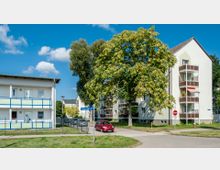 Wohnsiedlung mit zwei mehrstöckigen Wohngebäuden in heller Farbgestaltung, jeweils mit Balkonen. Im Vordergrund steht ein großer Baum sowie ein Straßenschild der "Thomas-Mann-Straße", daneben ein geparkter roter Kleinwagen.