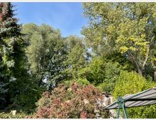 Ein Garten mit verschiedenen Bäumen und Büschen, darunter eine hohe Tanne und Laubbäume mit dichtem Blattwerk. Im Vordergrund ist ein Teil eines Sonnenschirms und bunte Büsche sichtbar, der Himmel ist klar und blau.