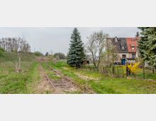 Ehemalige, überwucherte Bahngleise verlaufen durch eine ländliche Wiesenlandschaft, flankiert von Bäumen und Büschen. Im Hintergrund ist ein Wohnhaus mit roten und grauen Dachziegeln sowie ein Zaun zu sehen.