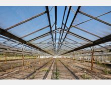 Verlassenes Gewächshaus mit einer Metallkonstruktion und Glasdach, teilweise beschädigt. Im Inneren sind trockener Boden und spärlicher Pflanzenwuchs zu sehen, im Hintergrund weitere Gewächshäuser und blauer Himmel.