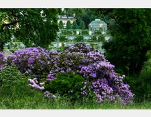 Terrassierter Garten mit blühenden violetten Rhododendronbüschen im Vordergrund, einer vergitterten, kuppelartigen Pavillonstruktur sowie einem historischen Gebäude im Hintergrund, umgeben von dichtem Grün.