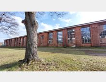 Backsteinbau einer ehemaligen Industriehalle mit großen rechteckigen Fenstern, die den gesamten oberen Teil der Fassade einnehmen. Im Vordergrund ein einzelner Baum, umgeben von einer Grünfläche, bei klarem Himmel.