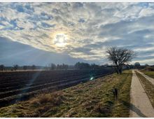 Landschaft mit einem gepflügten Feld links und einem gepflasterten Weg rechts, der von Wiesen und einem kahlen Baum gesäumt wird. Im Hintergrund sind einige Gebäude und Bäume sowie eine teils bewölkte Sonne am Himmel zu sehen; ein Hund läuft auf dem Weg.