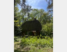 Eine kleine Holzhütte mit grünen Fensterläden steht in einem dichten Wald, umgeben von Bäumen und wilder Vegetation. Vor der Hütte ist ein niedriger Maschendrahtzaun zu erkennen, und der Himmel ist klar und blau.