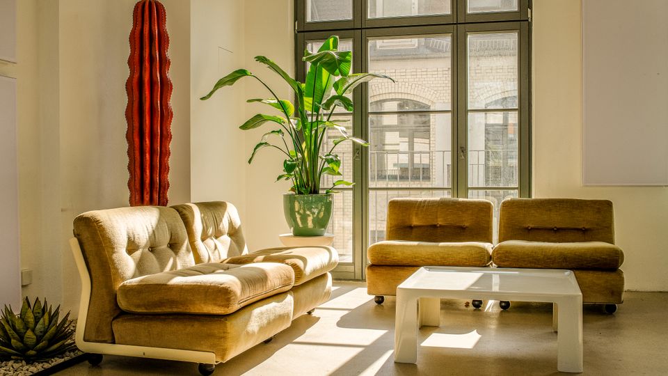 Heller Lounge- oder Wartebereich mit großen, bodentiefen Fenstern und Blick auf ein gegenüberliegendes Gebäude. Im Raum stehen beigefarbene Polstersessel und -sofas um einen weißen Couchtisch, dazu mehrere Zimmerpflanzen, darunter eine hohe kaktusartige Skulptur und eine große Topfpflanze.