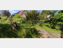 Ein bewachsener Garten mit Gras, Büschen und Bäumen, durchsetzt mit Baumstümpfen, auf denen Pflanzgefäße stehen. Im Hintergrund ist ein Haus mit rotem Dach sichtbar, umgeben von weiteren Pflanzen und großen Bäumen.