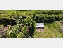 Eine weiße Bank steht auf einem Rasenstück, umgeben von dichtem, grünem Gehölz und Sträuchern. Im Vordergrund sind blühende Pflanzen und ein Pfad aus Steinplatten zu sehen.