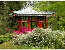 Pavillon im asiatischen Stil mit rotem Holzrahmen und grünem Dach, umgeben von üppiger Vegetation, darunter blühende pinke und weiße Büsche sowie hohe Bäume im Hintergrund.