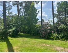 Gepflegter Garten mit großer Rasenfläche, umgeben von hohen Kiefern und dichtem Strauch- und Baumbestand. Im Hintergrund sind blühende Büsche und das Dach eines Hauses zwischen dem Grün zu sehen.