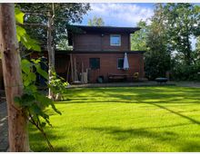 Holzhaus mit Flachdach und großer Terrasse, umgeben von einer grünen Rasenfläche und vereinzelten Bäumen; im Vordergrund eine Reihe kleiner Weinpflanzen an Holzstützen.