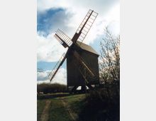 Historische Holz-Windmühle auf einer grünen Wiese, umgeben von Büschen und Bäumen, mit markanten Flügeln und einer klaren Himmelslandschaft im Hintergrund.