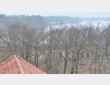 Blick auf eine von kahlen Bäumen geprägte Winterlandschaft mit einem See im Hintergrund. Im Vordergrund ist ein Teil eines roten Ziegeldachs zu sehen.