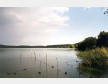 Ein ruhiger See mit klarer Wasseroberfläche, umgeben von dichtem Wald. Im Vordergrund ragen Holzpfähle aus dem Wasser, die teilweise mit einer Kette verbunden sind, und einige Enten schwimmen in der Nähe.