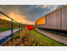 Gebogener Fußweg entlang eines modernen Gebäudes mit perforierter Metallfassade, daneben ein Geländer und eine begrünte Böschung. Im Vordergrund steht eine einzelne rote Mohnblüte, darüber ein dramatisch bewölkter Himmel im Abendlicht.