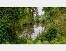 Ein kleiner Teich, umgeben von dichter grüner Vegetation und überhängenden Pflanzen, mit einem Haus im Hintergrund, das zwischen den Bäumen sichtbar ist. Der Teich spiegelt die umliegenden Bäume und den leicht bewölkten Himmel wider.