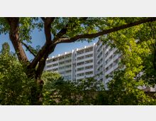 Ein modernes Mehrfamilienhaus mit mehreren Stockwerken, weißen Balkonen und farbigen Akzenten, umgeben von dichtem Laub und großen Bäumen, die im Vordergrund sichtbar sind. Der Himmel ist klar und blau.