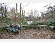 Eine Parkszene mit einer grünen Holzbank, die auf einem mit Laub bedeckten Weg steht. Im Hintergrund befinden sich ein kleiner Teich, kahler Winterbewuchs und eine bemooste Steinmauer mit Graffiti.