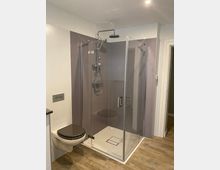 Modernes Badezimmer mit einer verglasten Eckdusche, Regenduschkopf und lila Wandverkleidung. Daneben befindet sich ein wandhängendes WC mit schwarzem Sitz, der Boden ist mit Holzoptik-Fliesen gefliest.